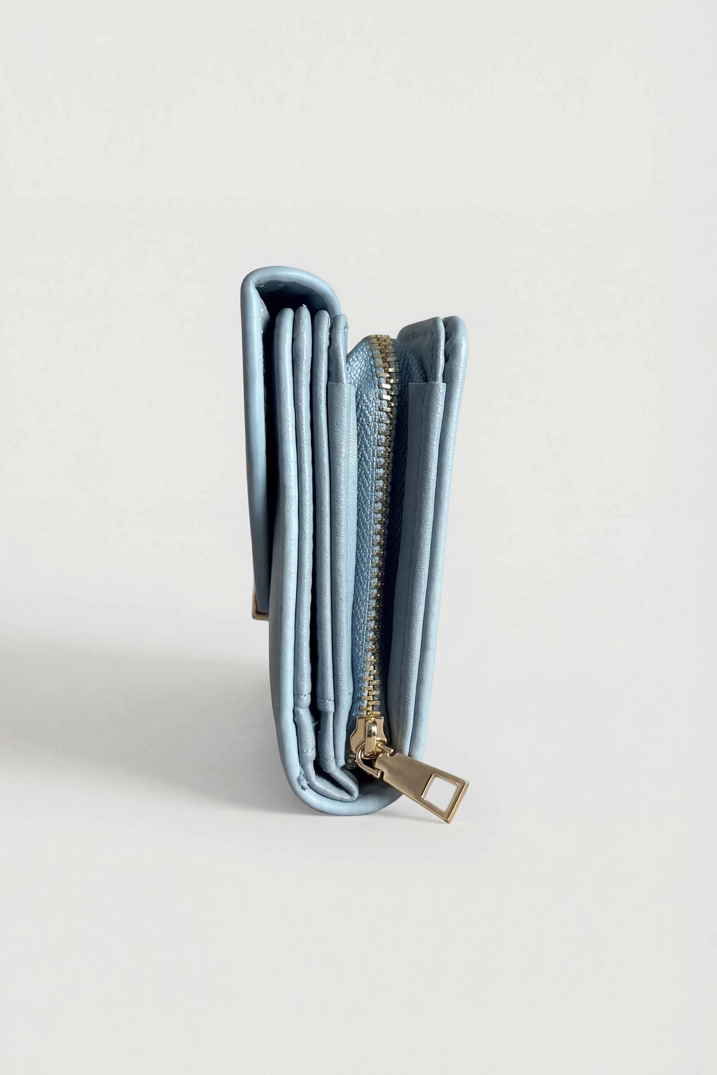 Blue Wallet-446622108