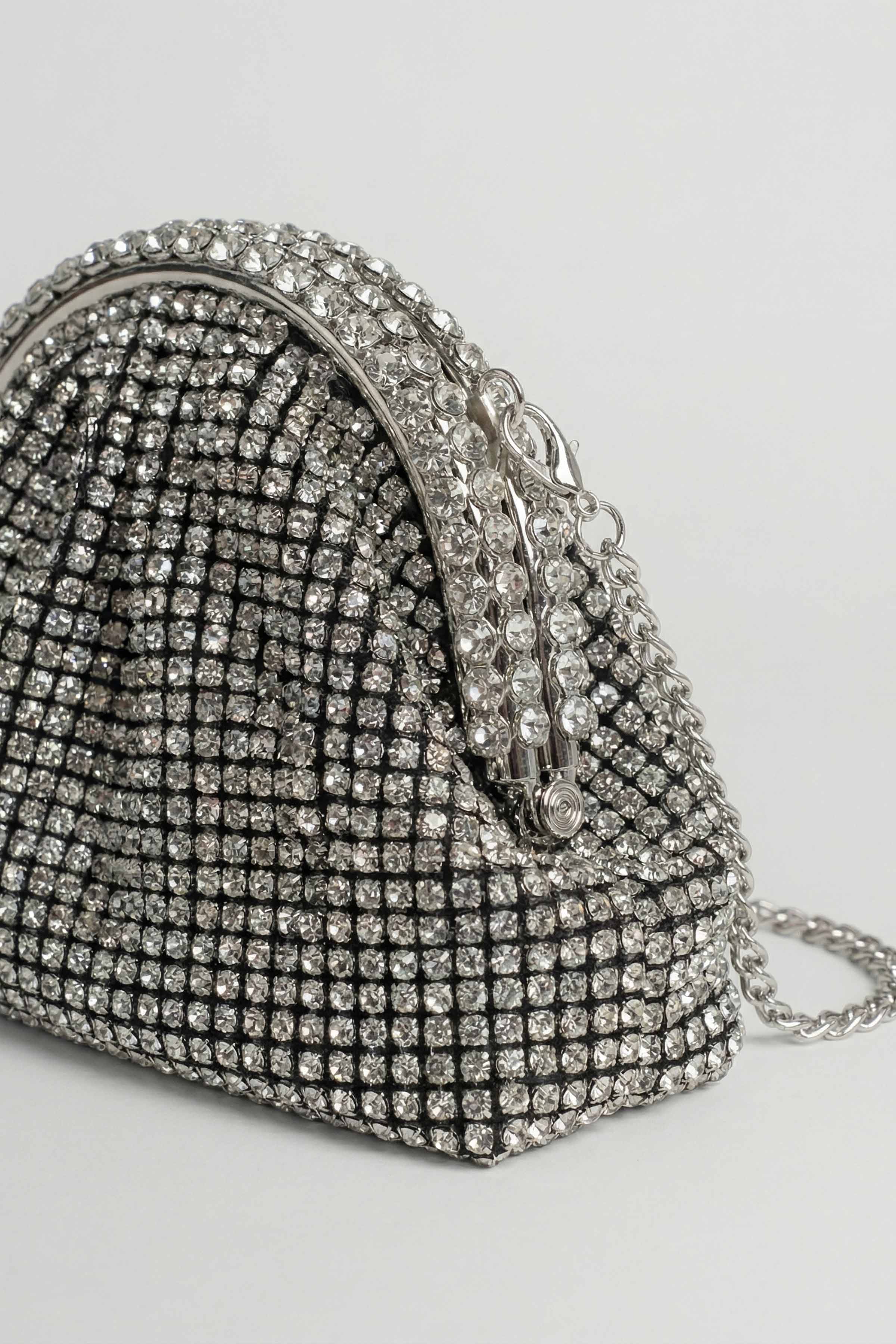 Silver Clutch-448602120