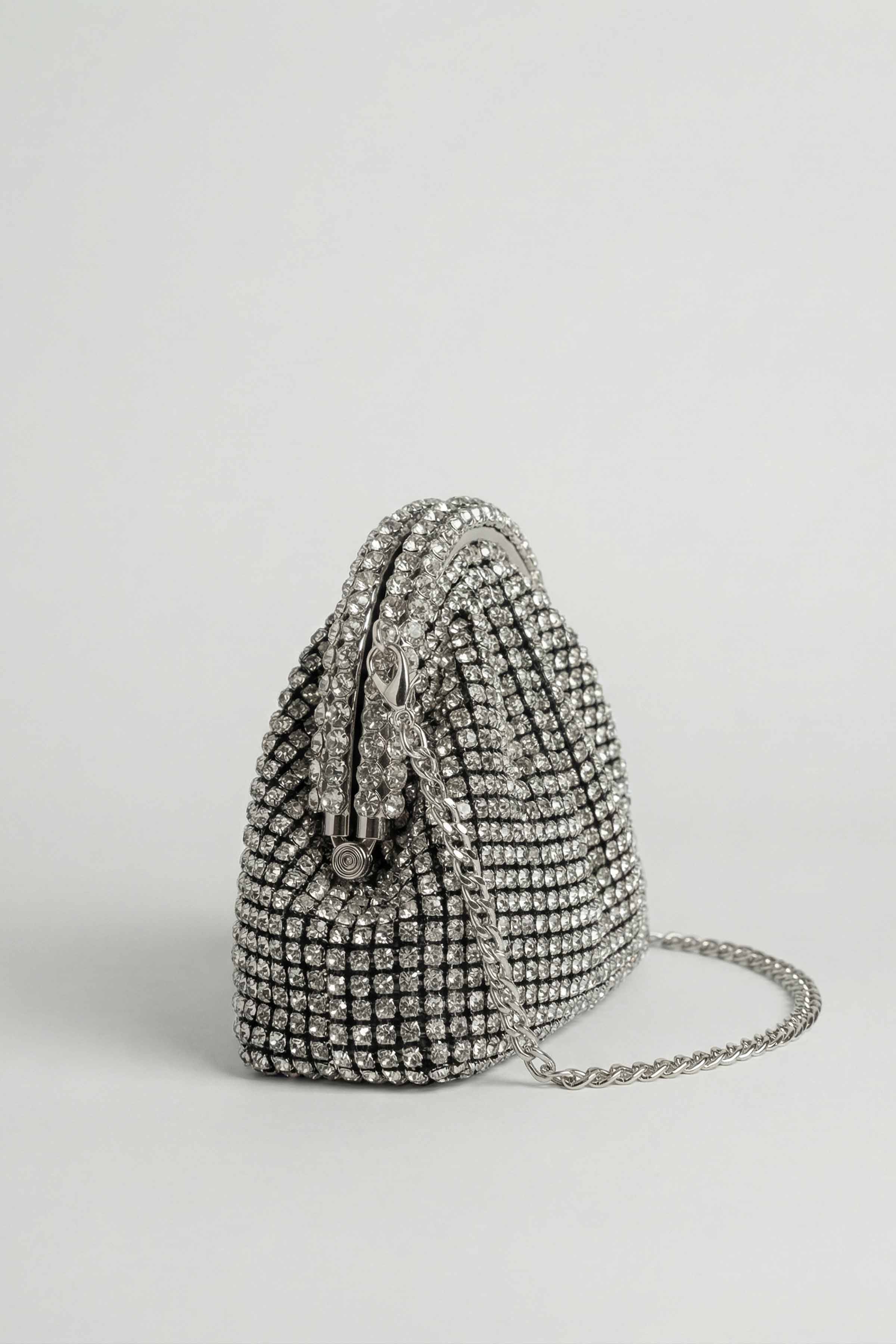 Silver Clutch-448602120