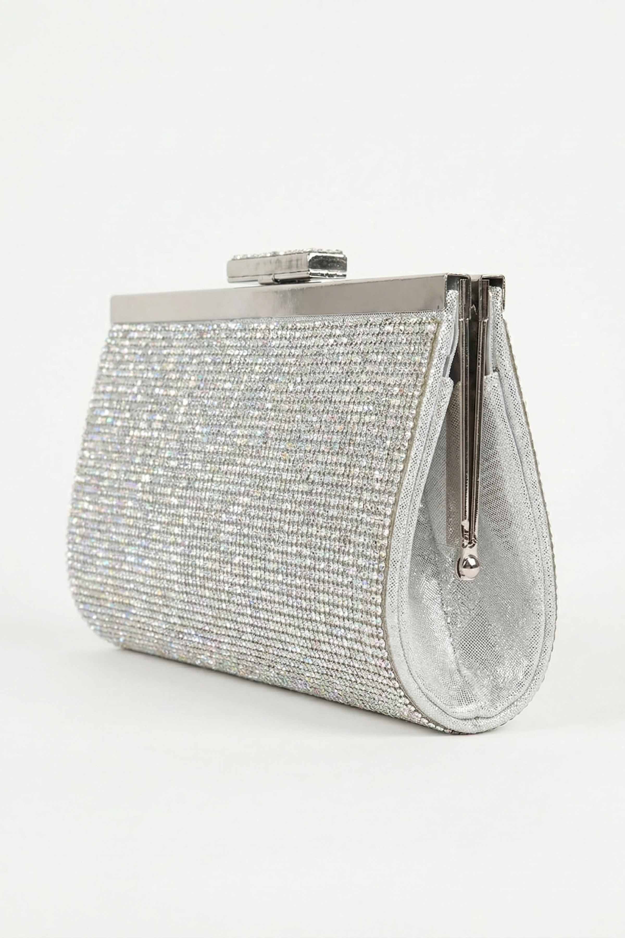 Silver Clutch-448612120