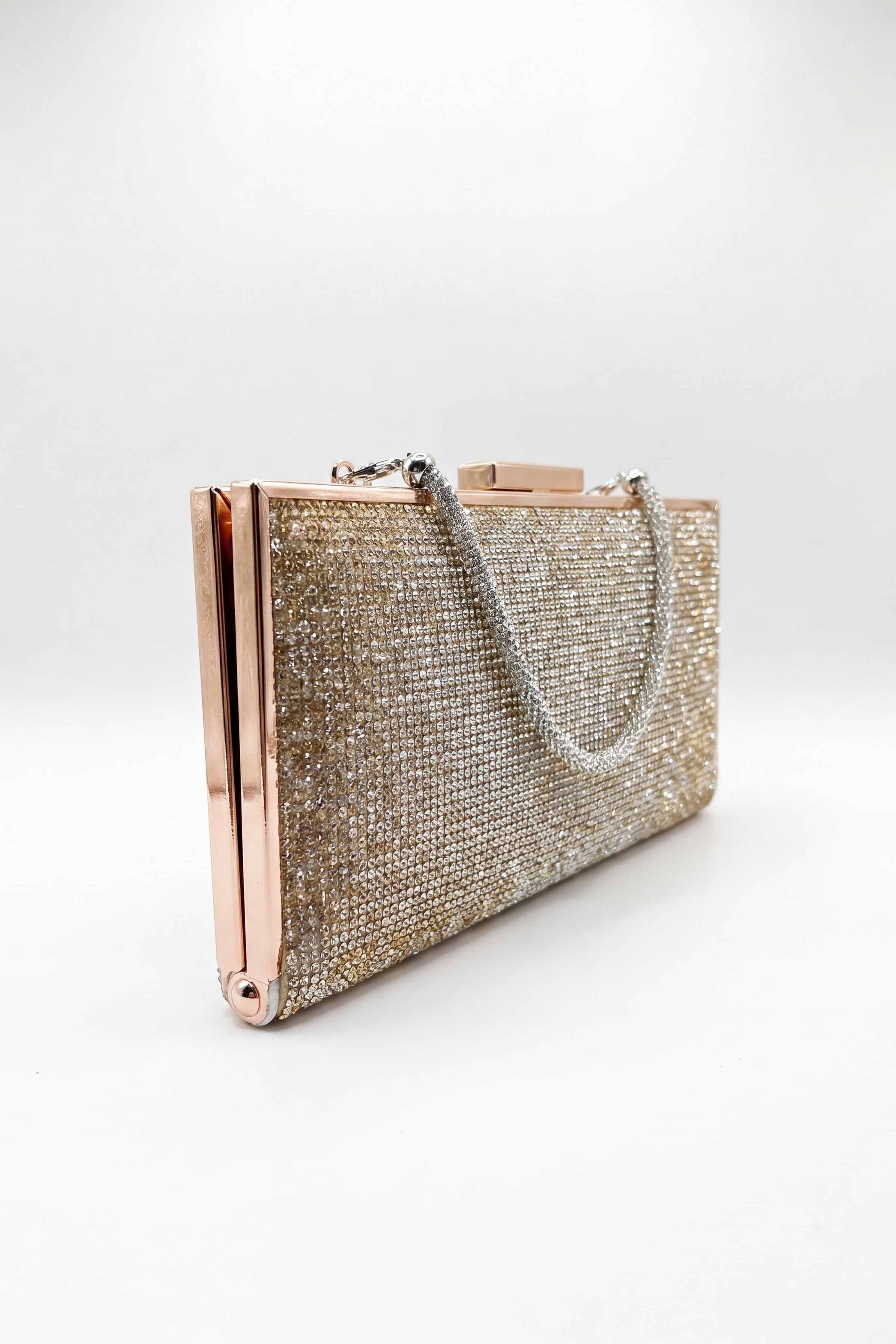 Gold & Silver Clutch-448632119