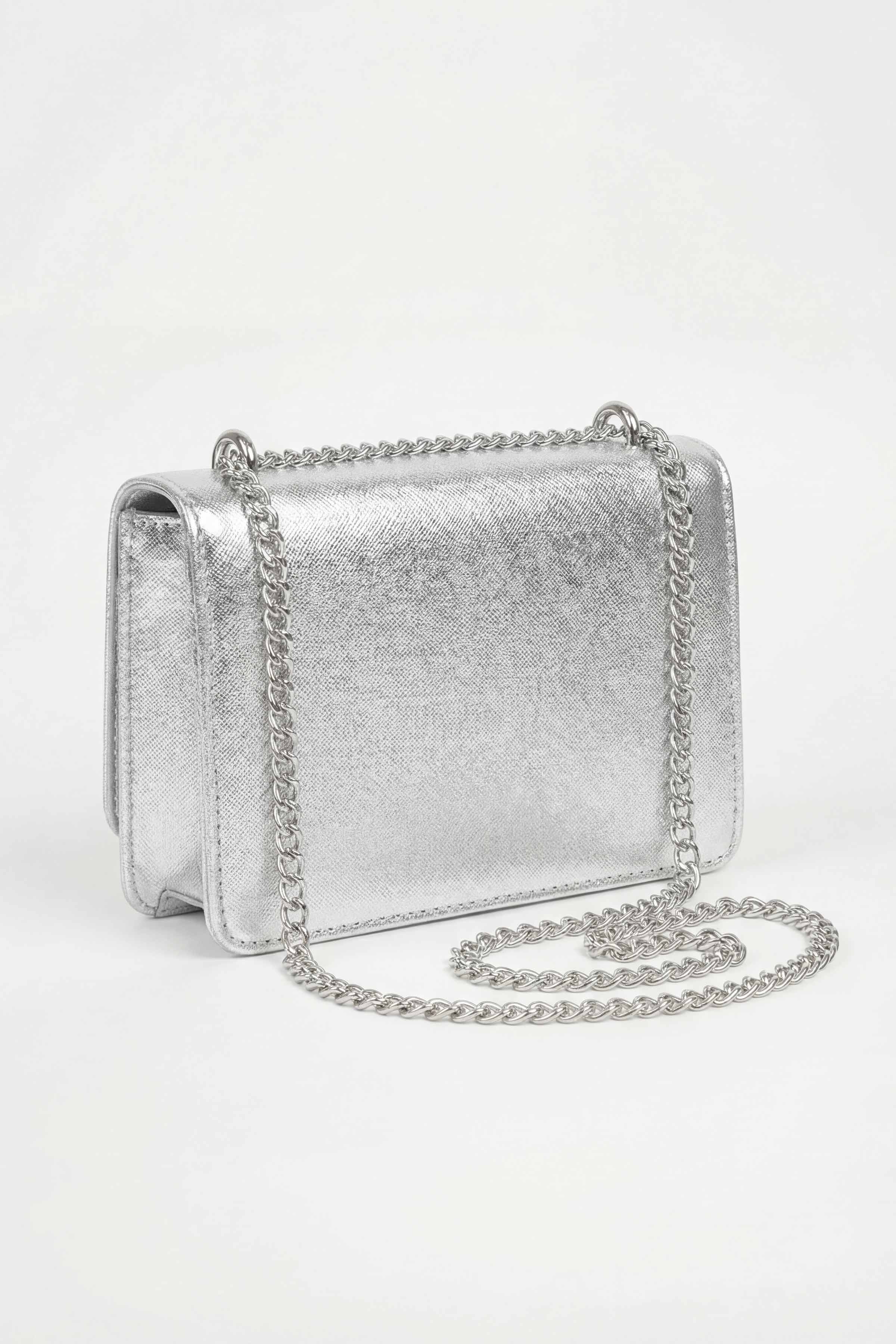 Silver Clutch-448682120