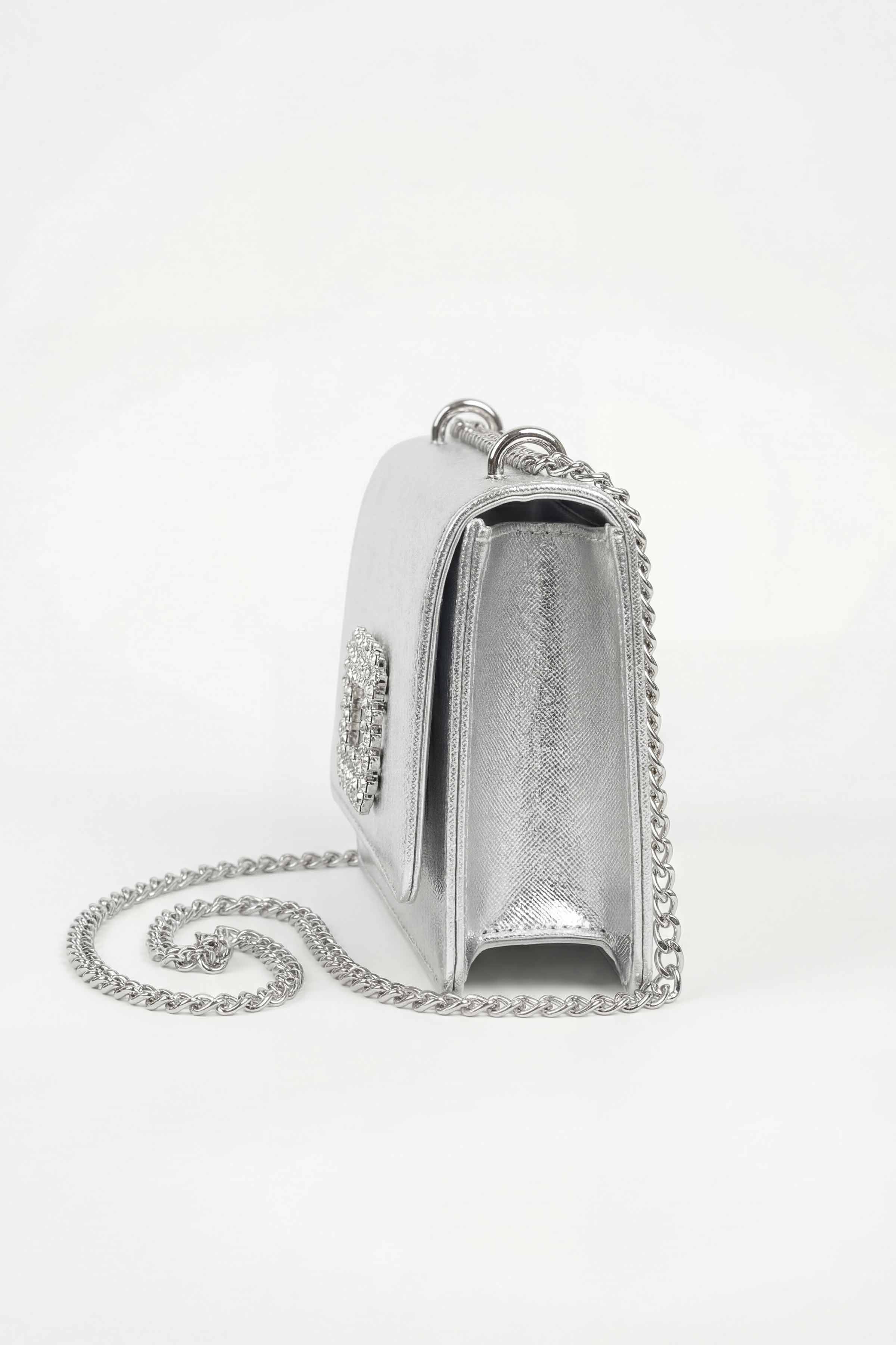 Silver Clutch-448682120