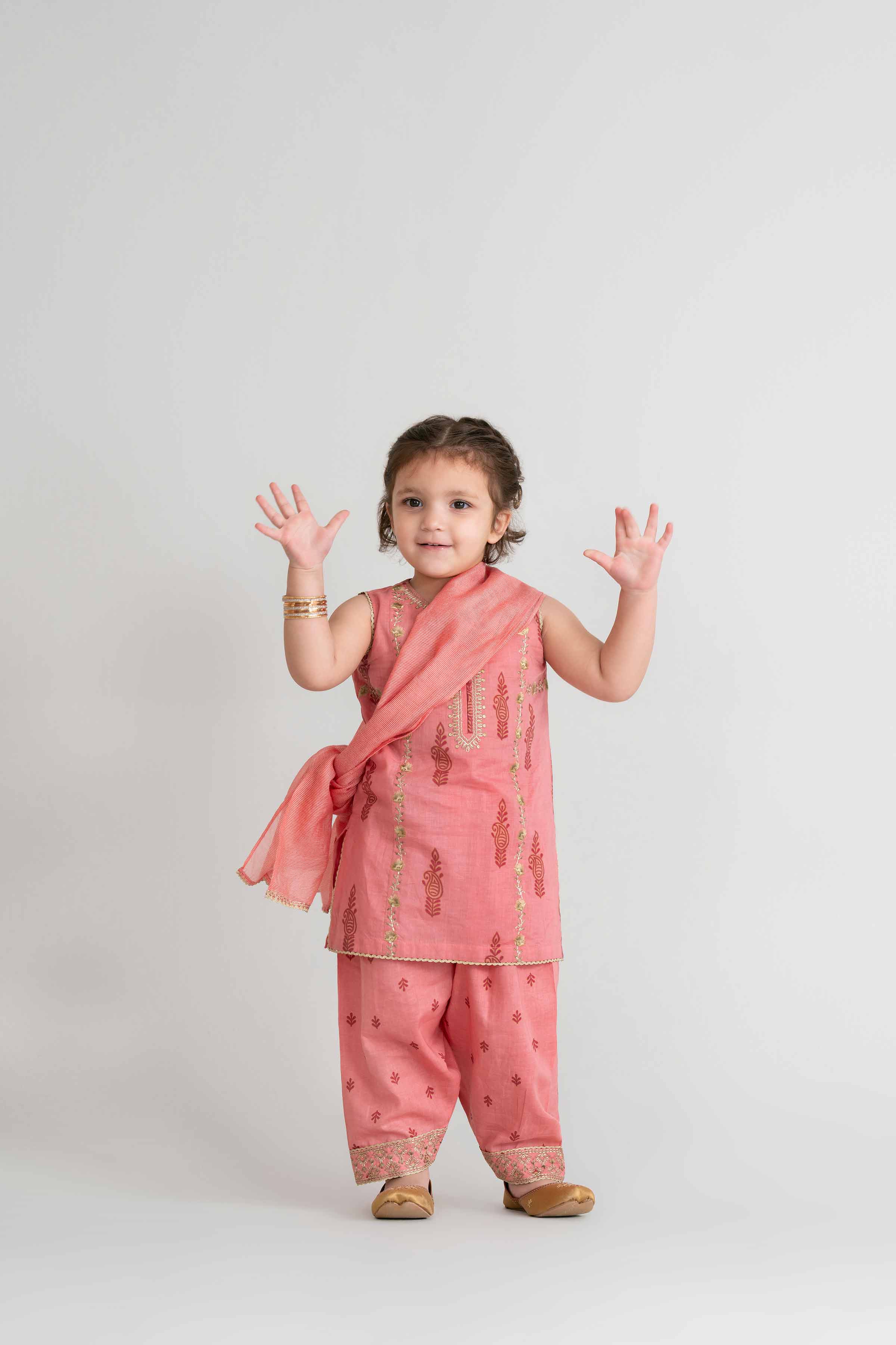 3 Piece - Printed Embroidered Suit - PMD26-42 D