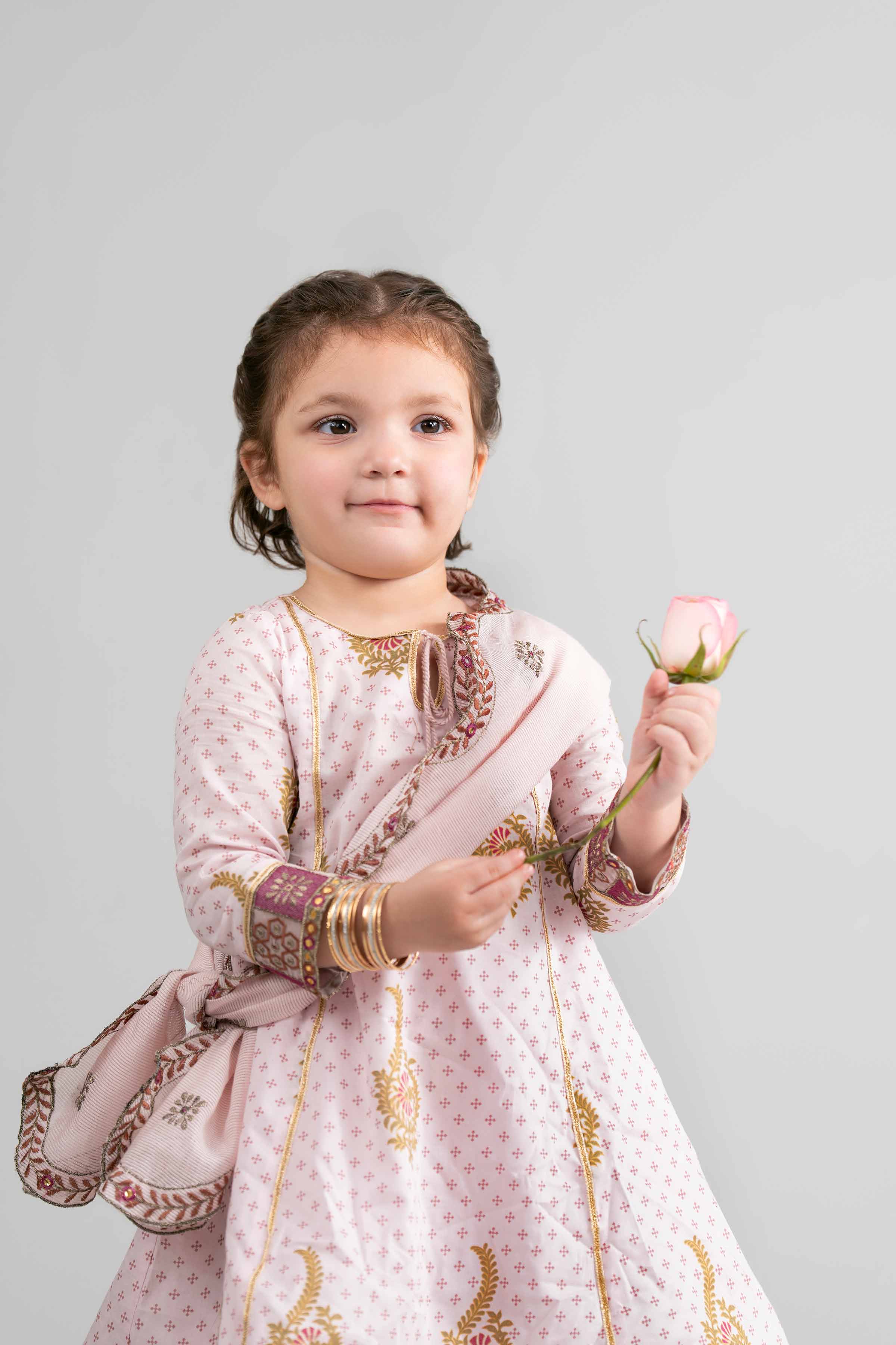 3 Piece - Printed Embroidered Suit - PMD26-44 D