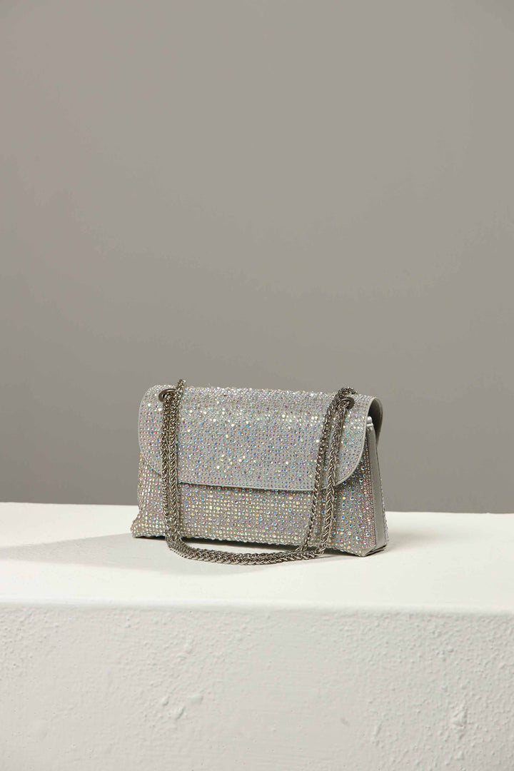 Women Silver Clutch