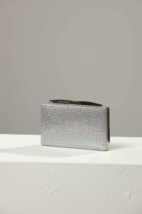 Silver Clutch-438882120