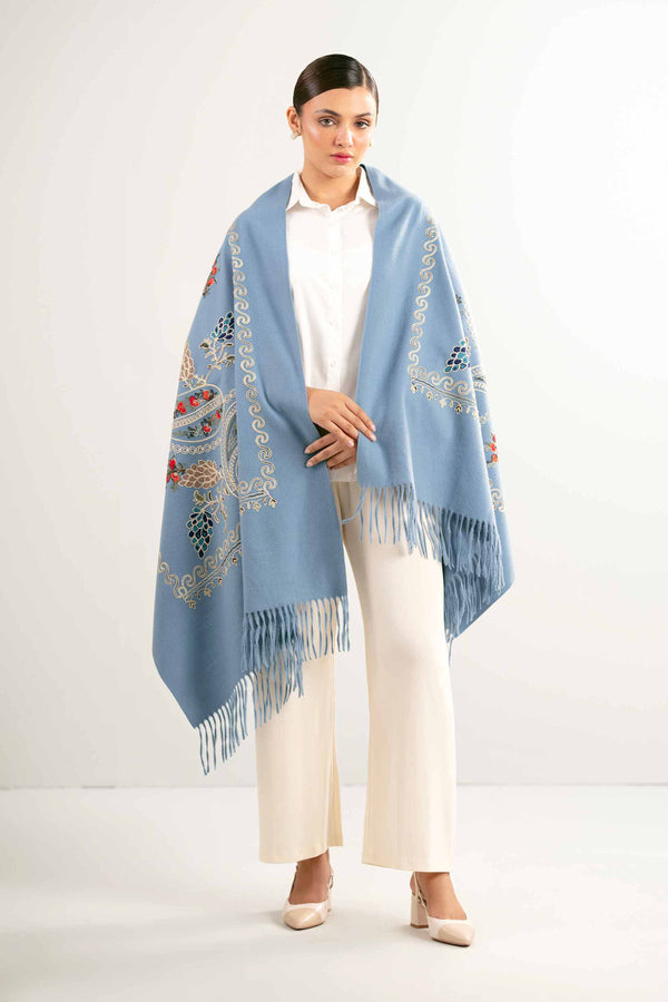 Blue Women Shawl-440362108