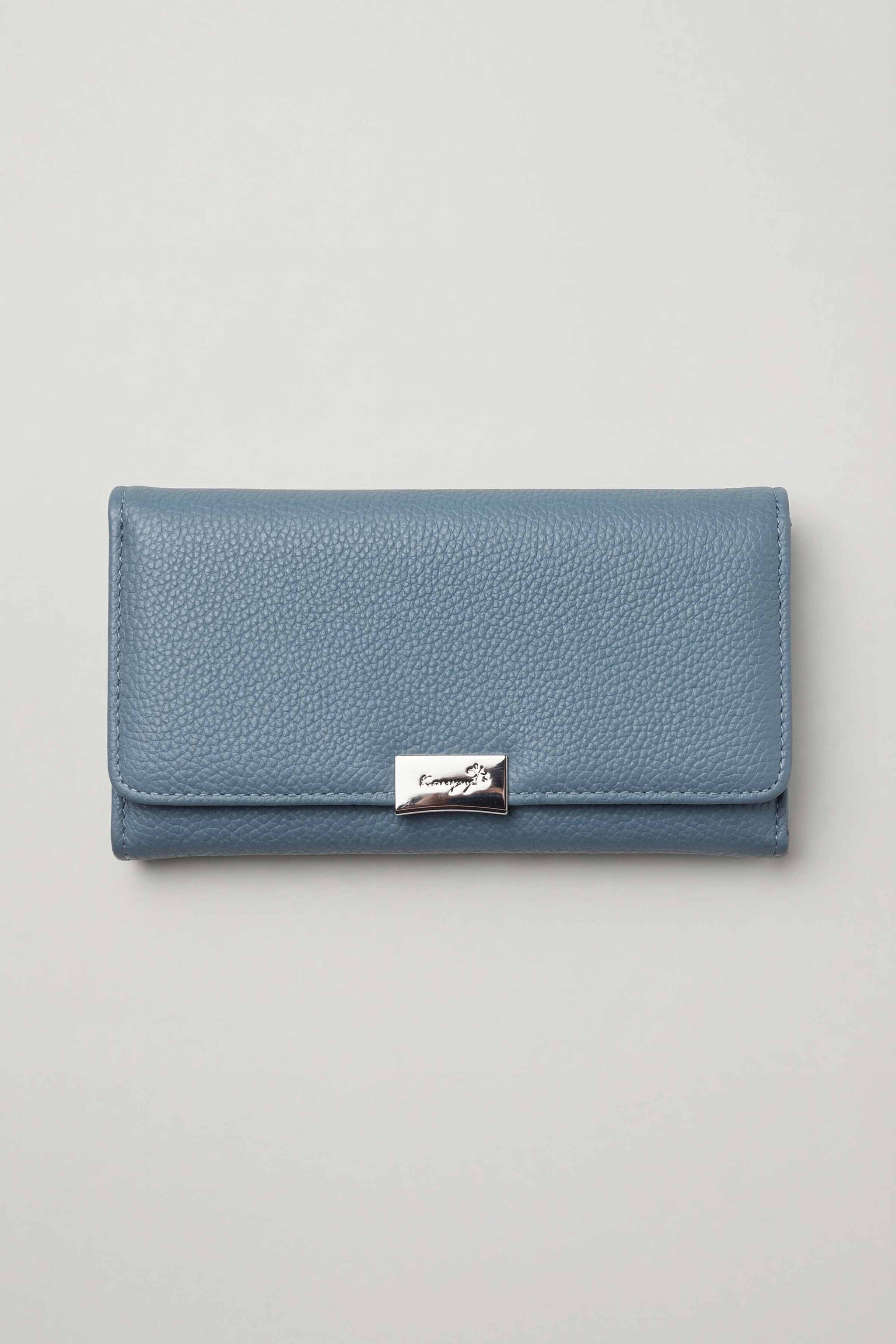 Blue Wallet-446592108