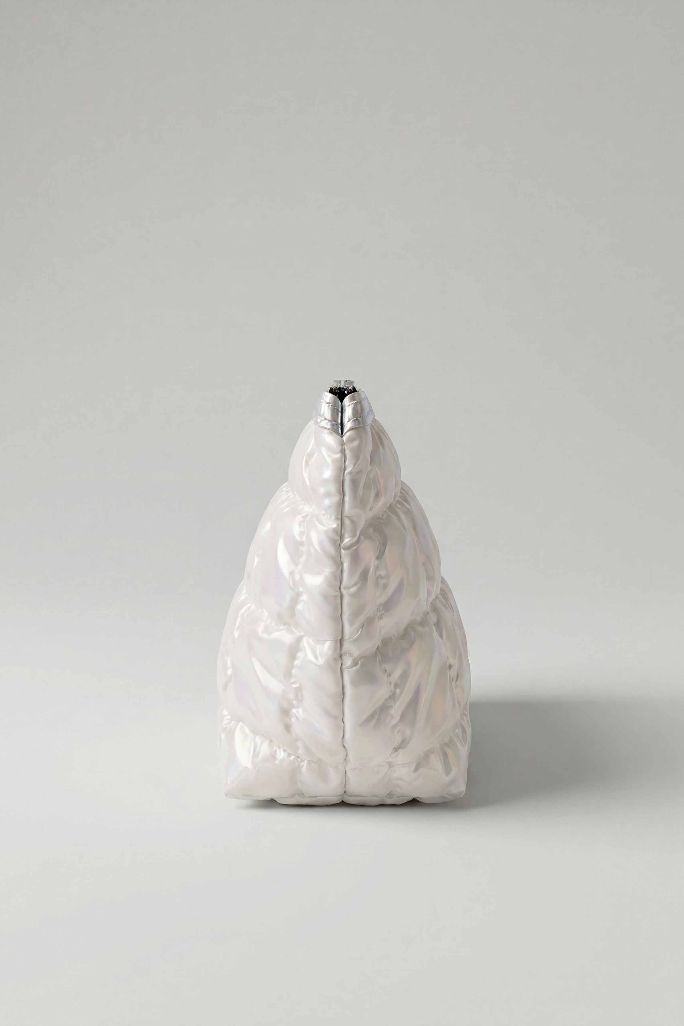 Silver Vanity Bag-448432120