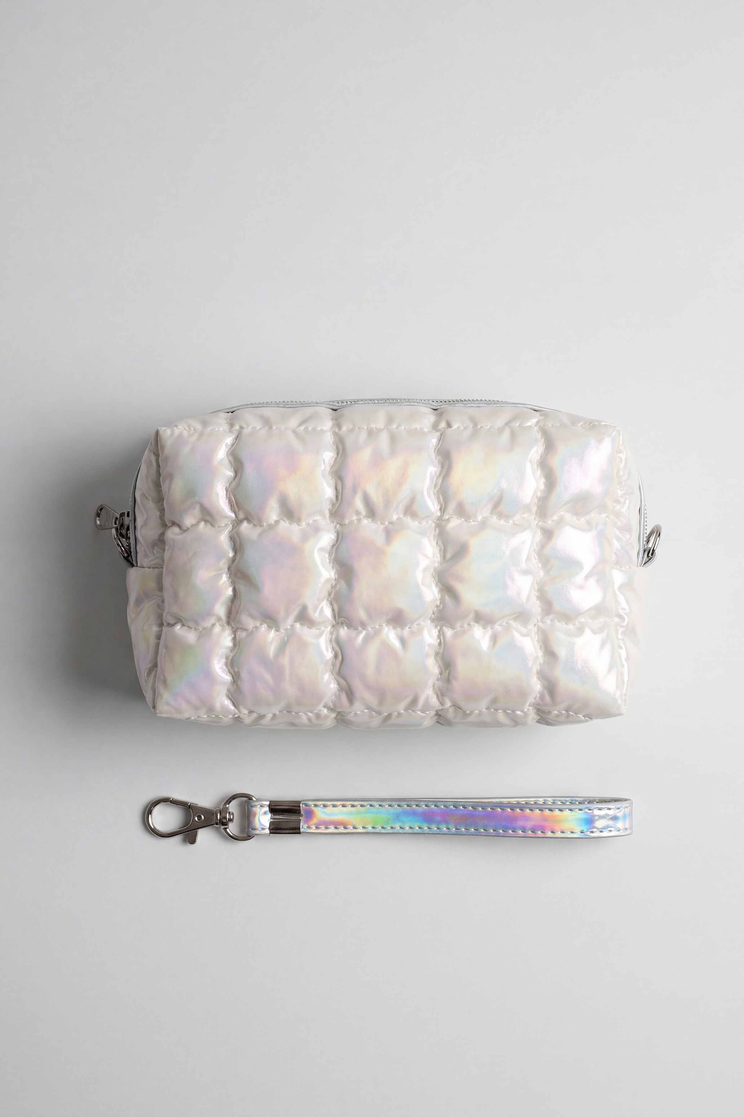 Silver Vanity Bag-448442120