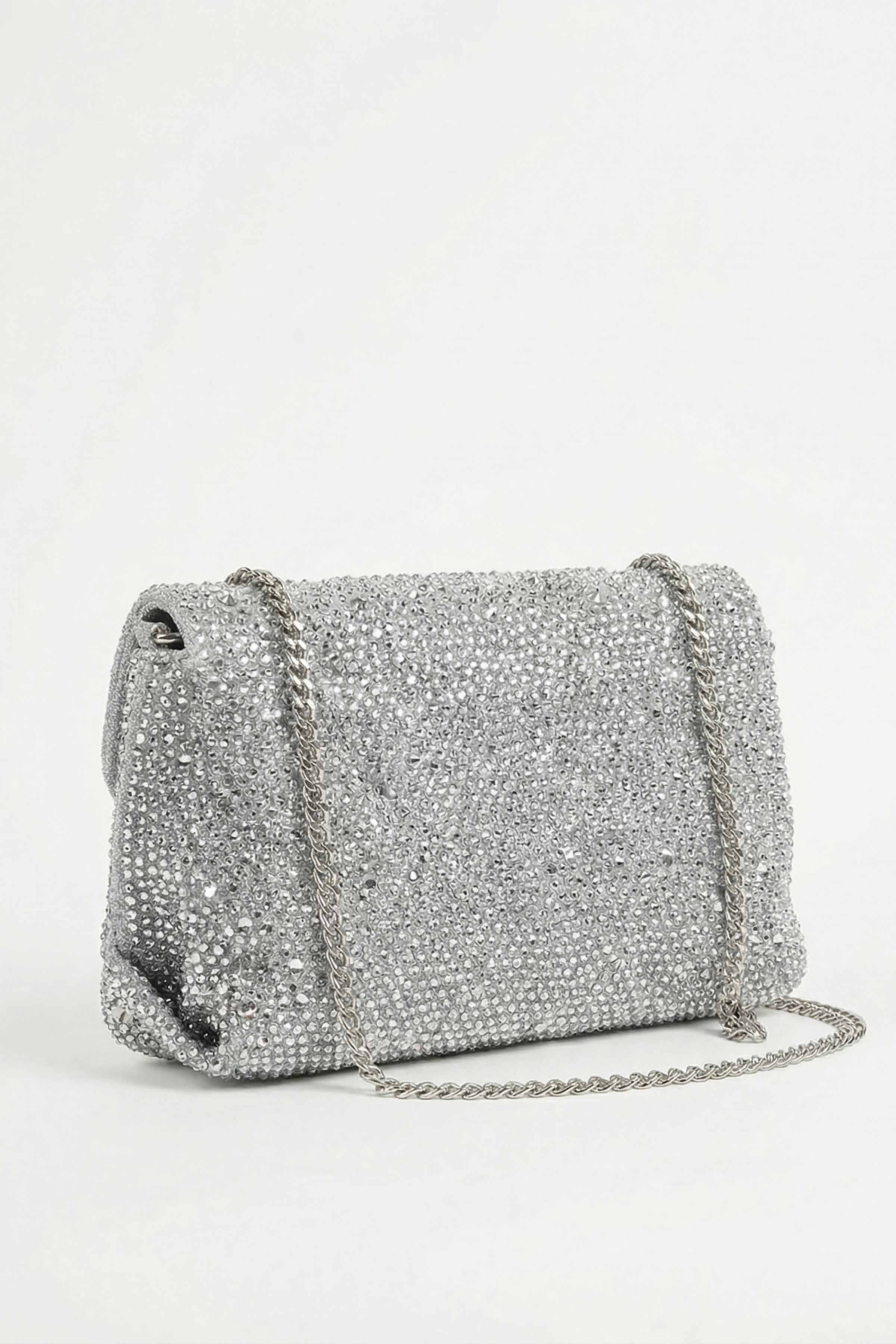 Silver Clutch-448572120