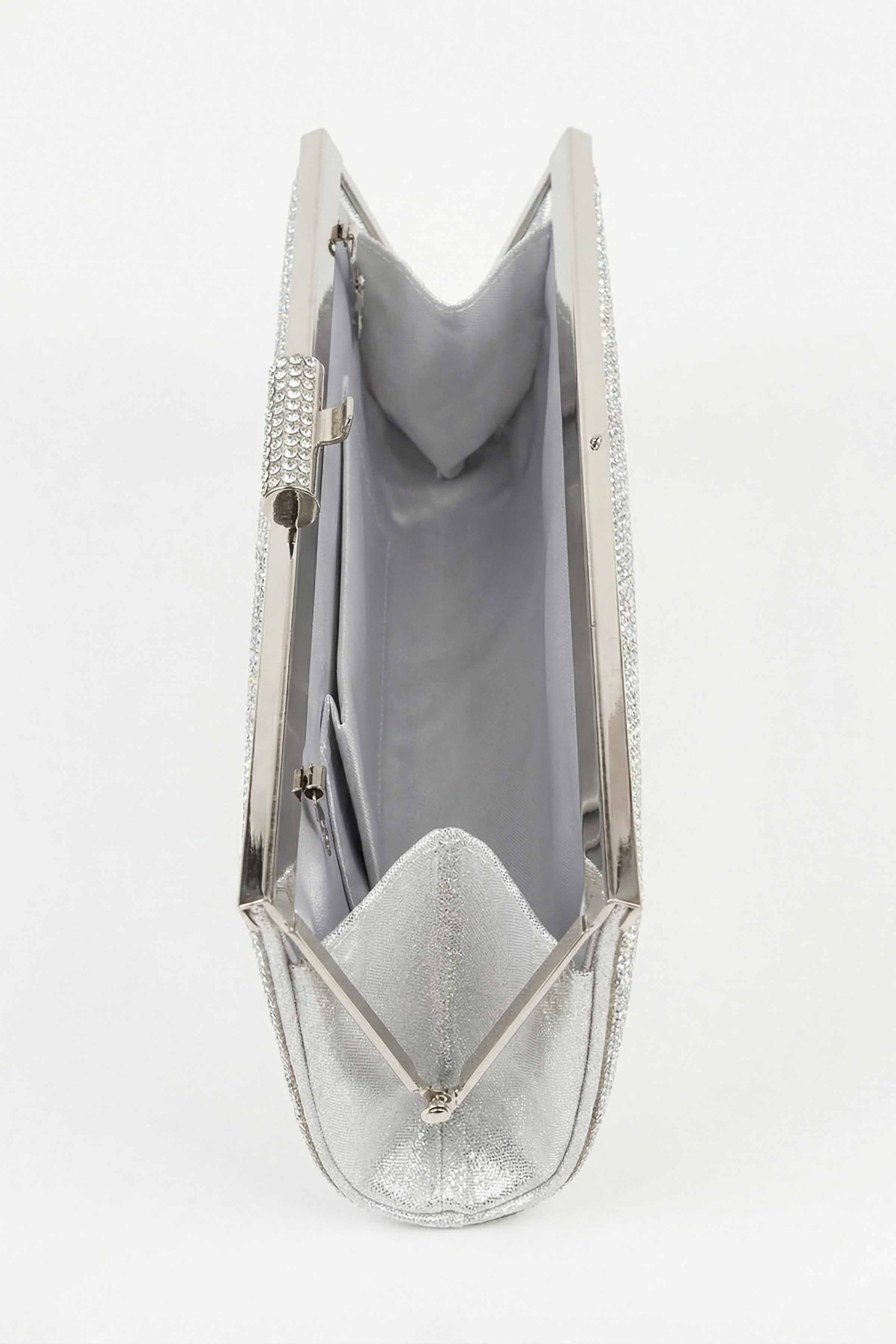 Silver Clutch-448612120