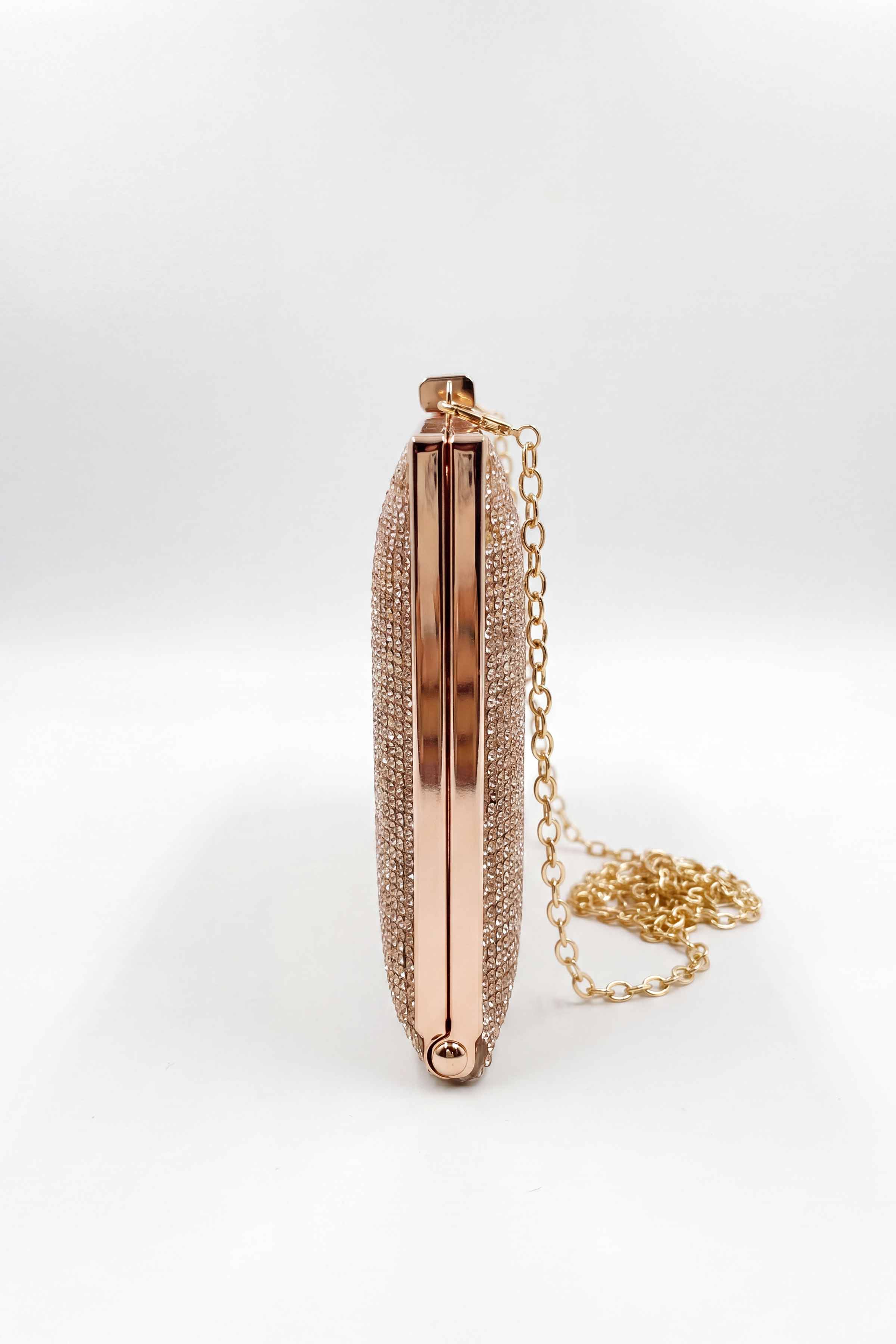 Champagne Clutch-448632116