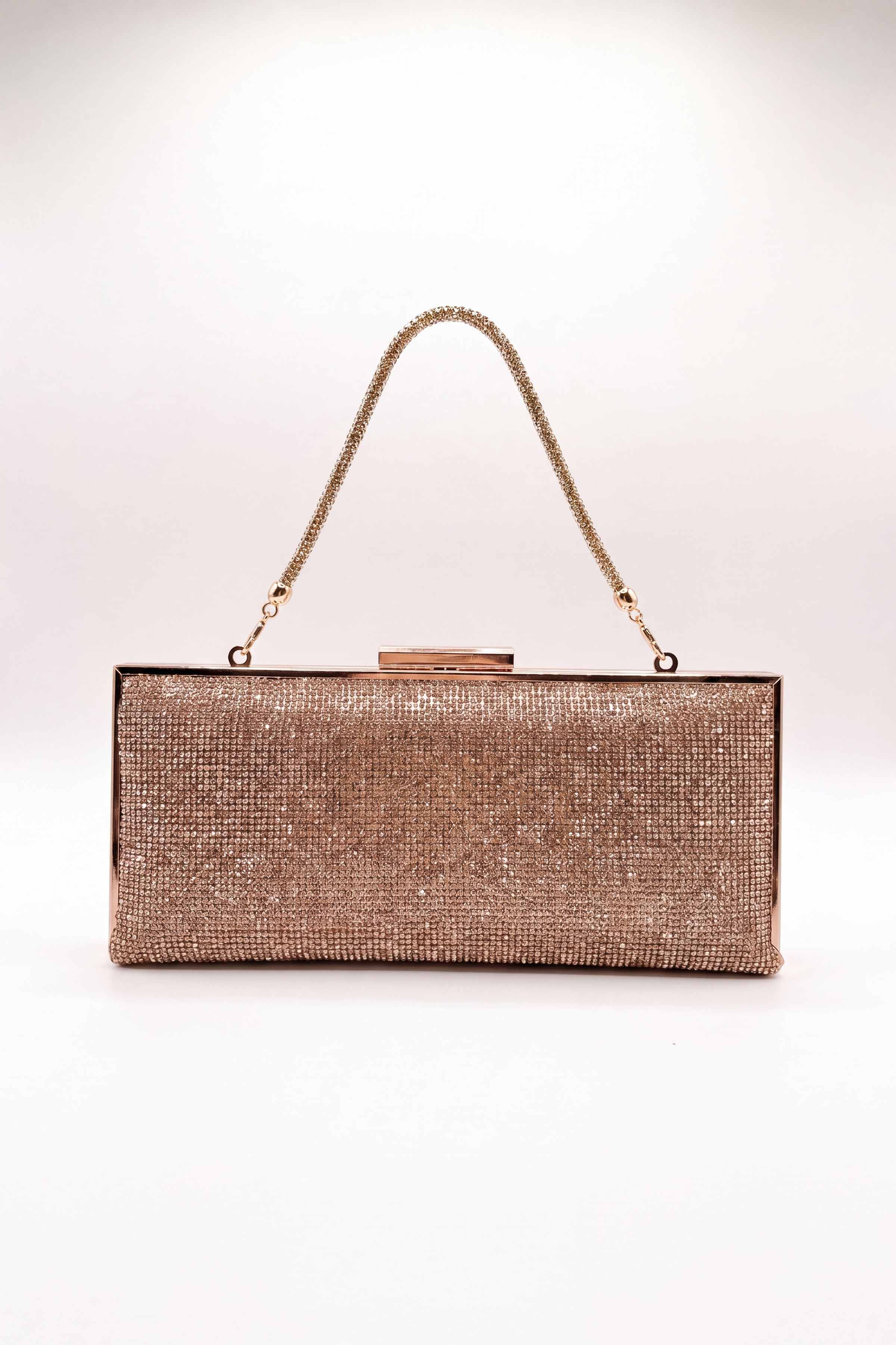 Champagne Clutch-448632116