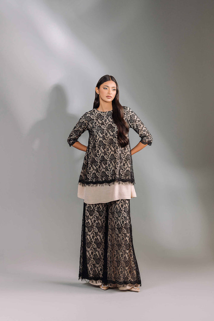 3 Piece Black & Fawn Silk & Net Embroidered Suit