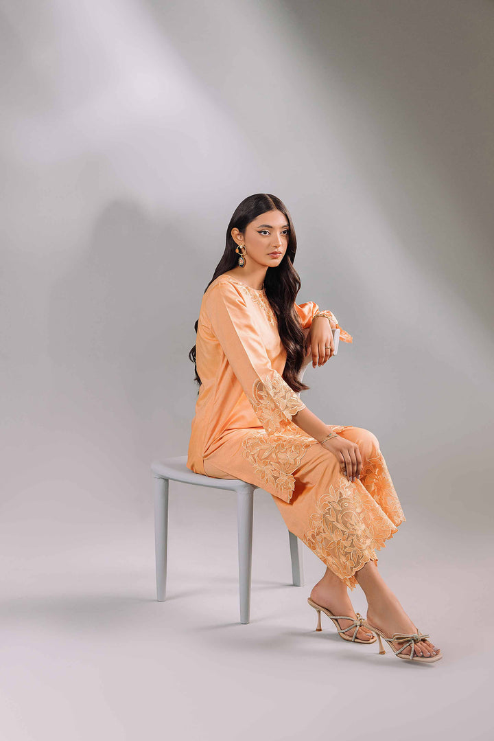 2 Piece Peach Embroidered Matka Silk Suit