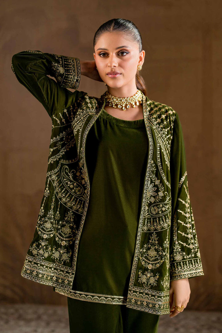 3 Piece Green Velvet & Chiffon Embroidered Suit