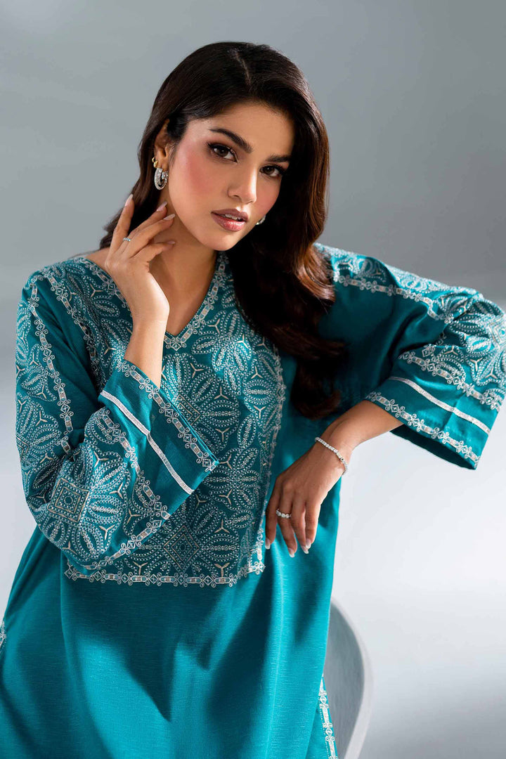 2 Piece Peacock Karandi Embroidered Suit