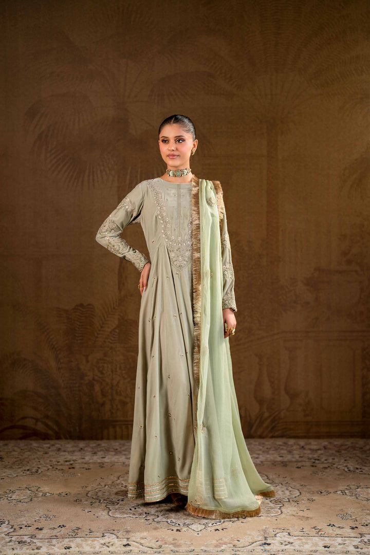 2 Piece Grey Bemberg Chiffon & Velvet Embroidered Suit