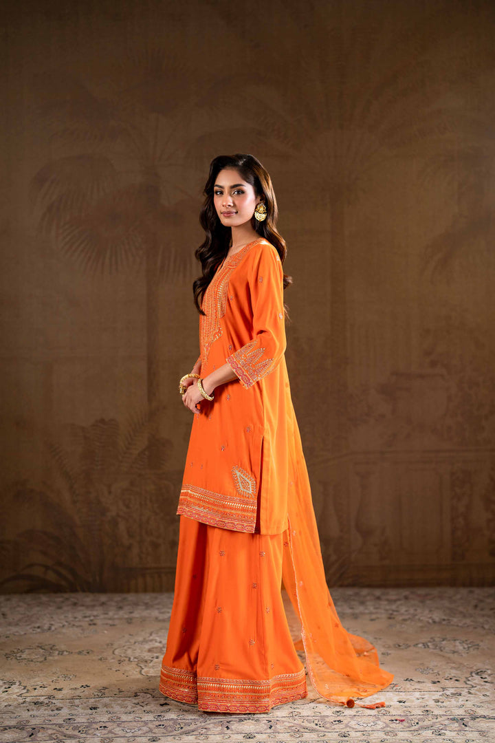 3 Piece Net & Velvet Orange Embroidered Suit