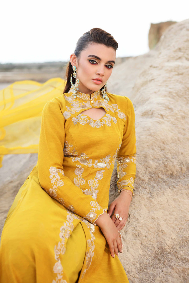 3 Piece Net & Silk Honey Embroidered Suit