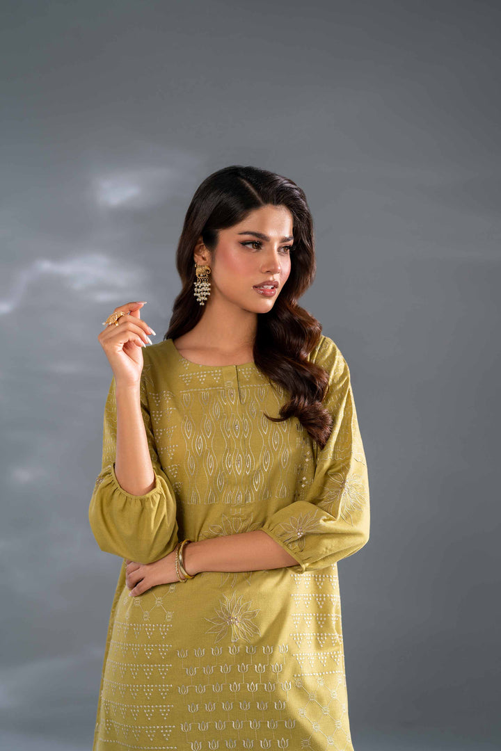 2 Piece Lime Embroidered Karandi Suit