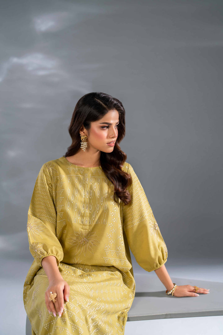 2 Piece Lime Embroidered Karandi Suit