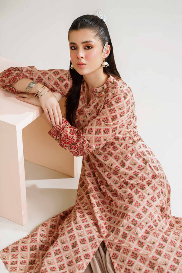 Printed Embroidered Dress - PE24-390