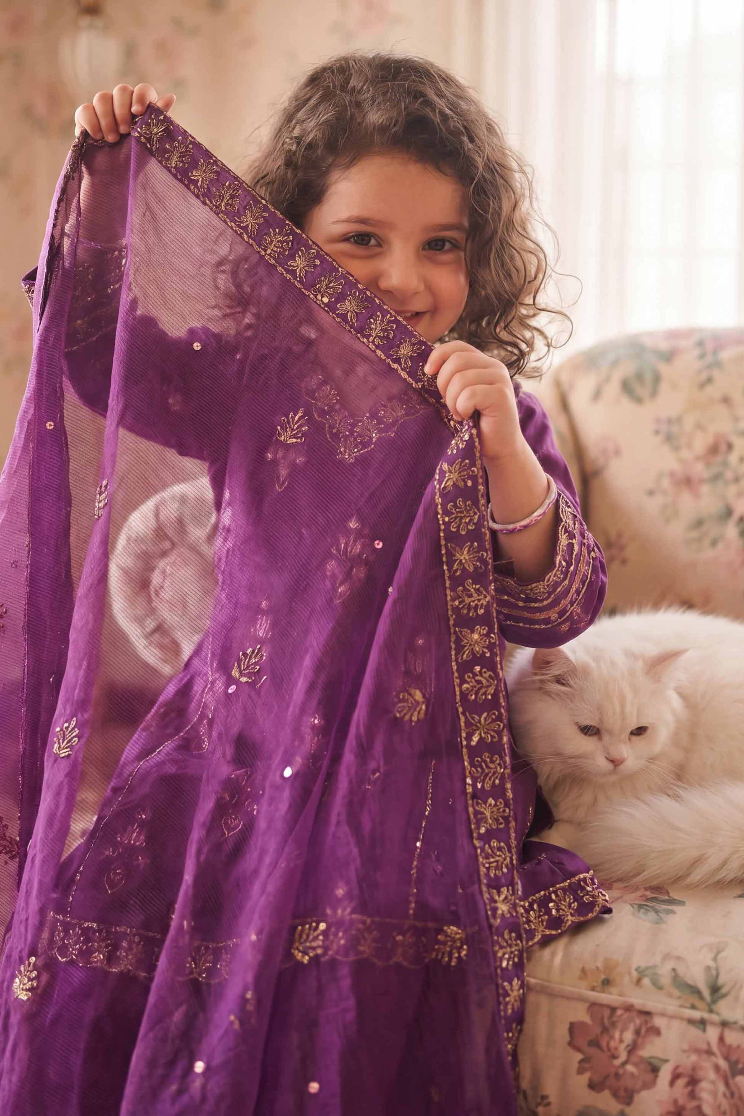 3 Piece - Embroidered Suit - PMD26-39 D