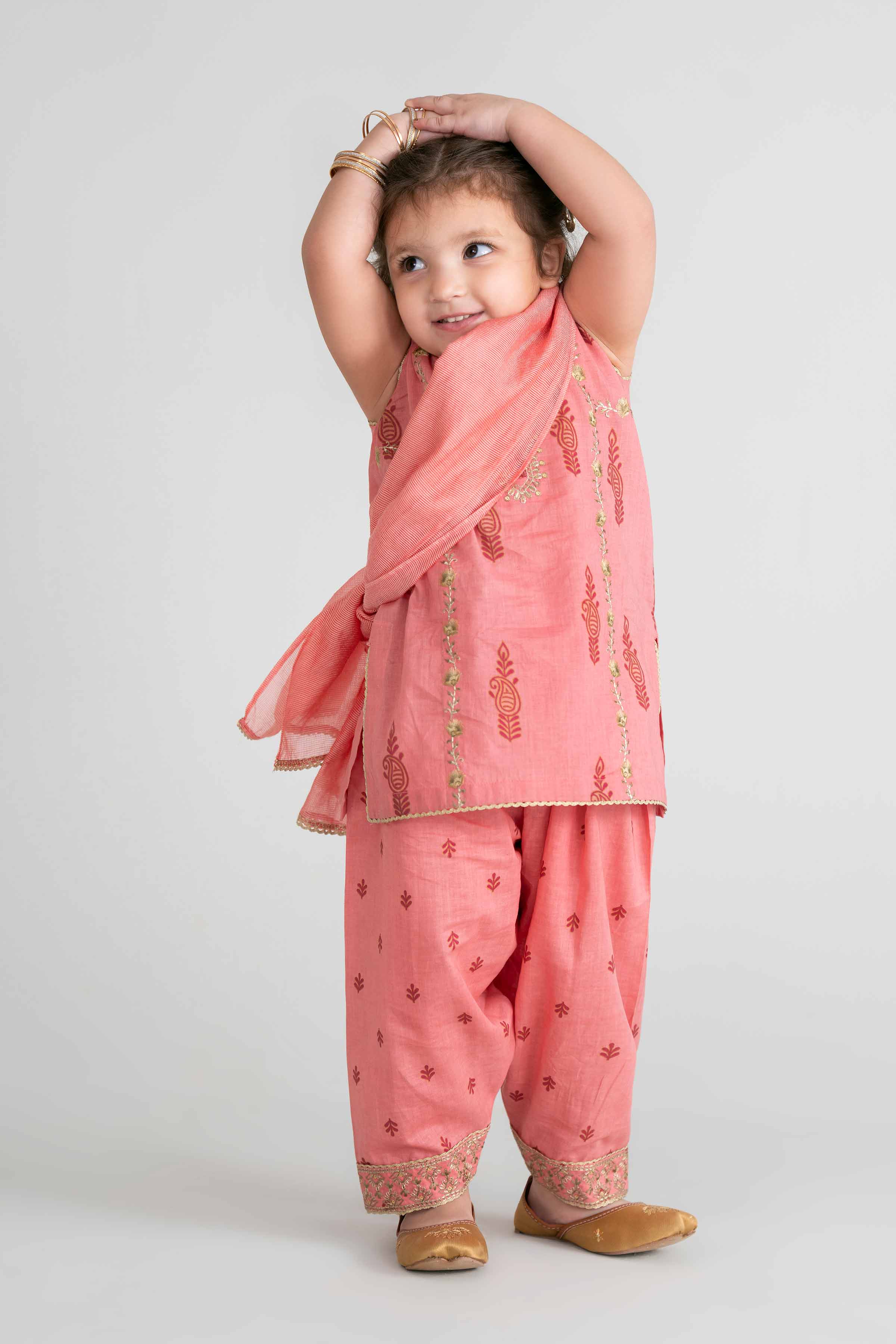 3 Piece - Printed Embroidered Suit - PMD26-42 D