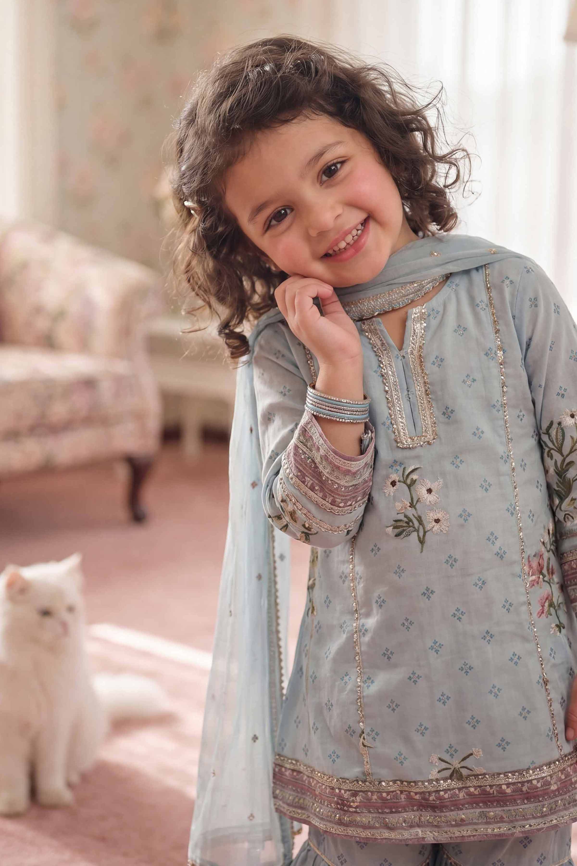 3 Piece - Embroidered Suit - PMD26-43 D