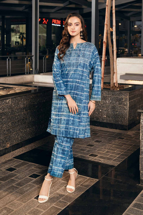 2 Piece - Printed Embroidered Suit - PS24-193