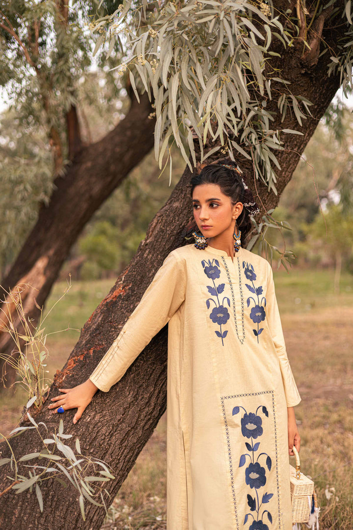 1 piece beige cambric embroidered shirt