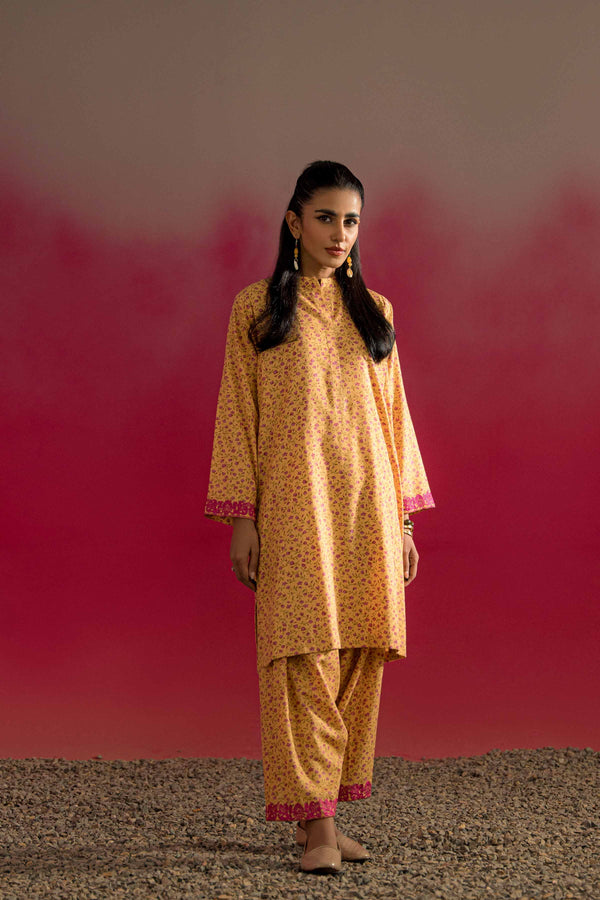 2 Piece - Printed Embroidered Suit - PW23-228