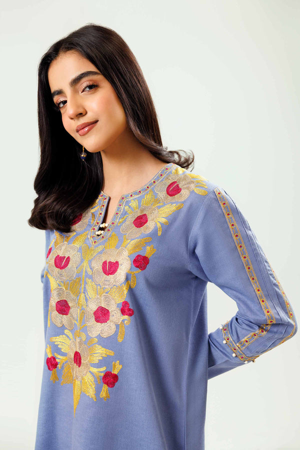 2 Piece Violet Embroidered Karandi Winter Suit