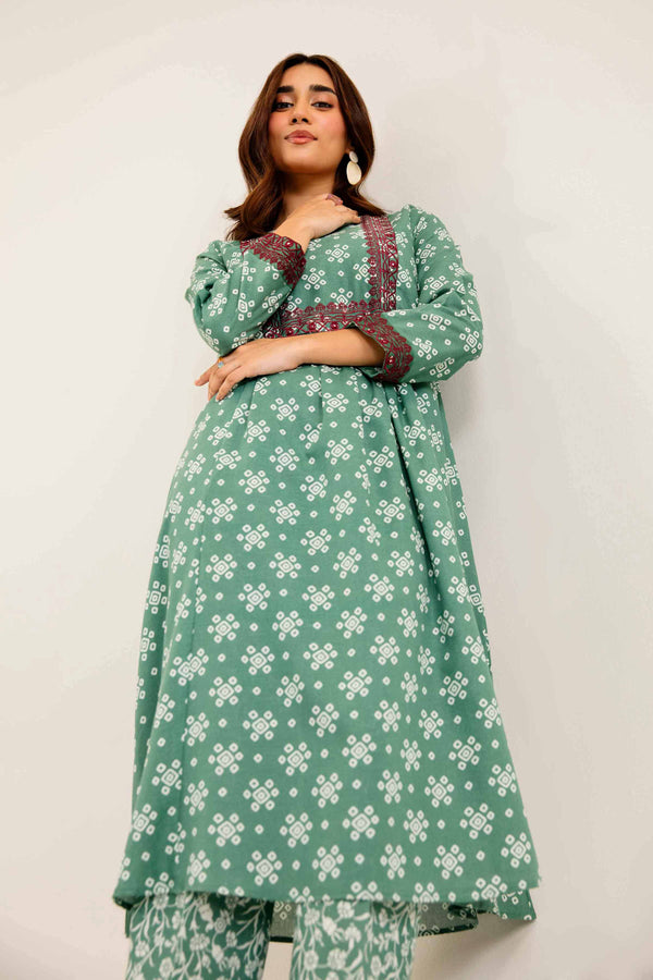 2 Piece Printed Embroidered Green Karandi Winter Suit