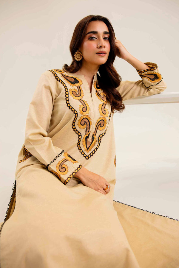 2 Piece Embroidered Skin Karandi Winter Suit