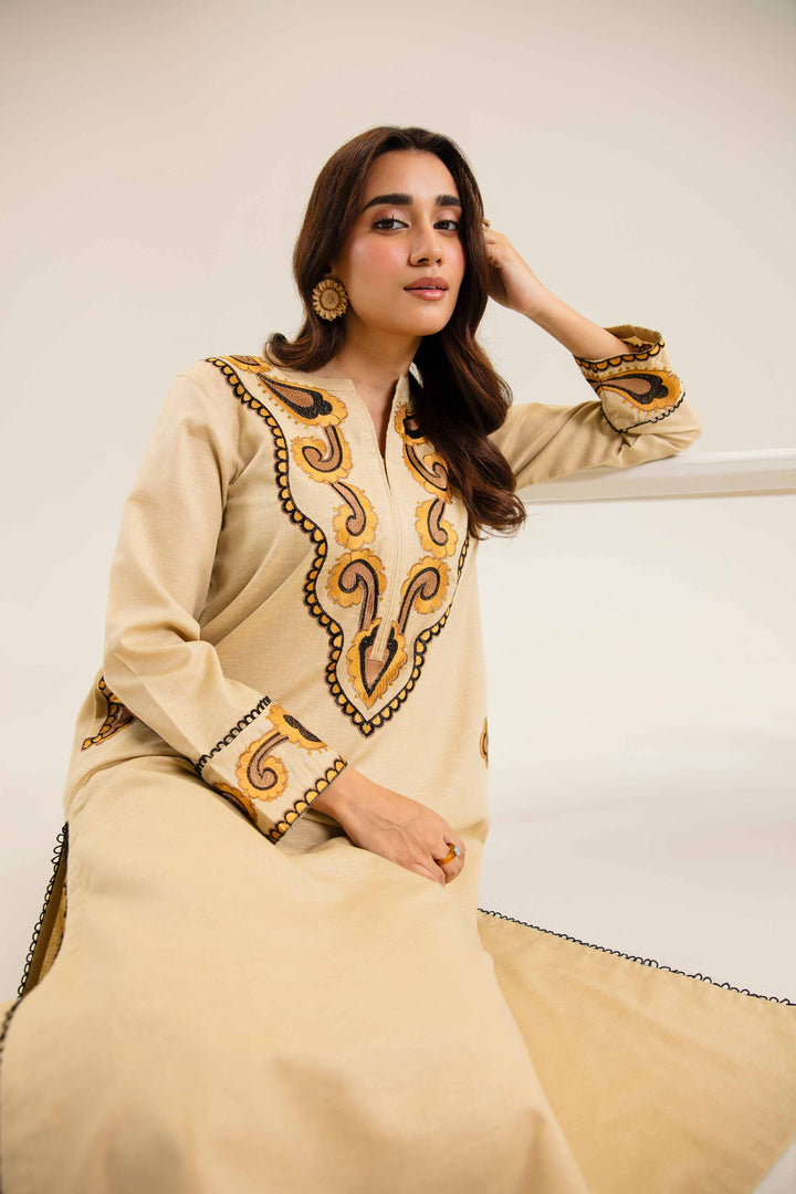 2 Piece Embroidered Skin Karandi Winter Suit