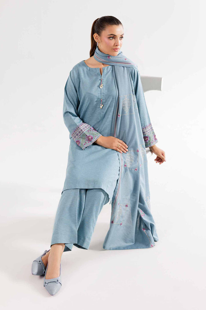 3 Piece Grey Karandi Suit