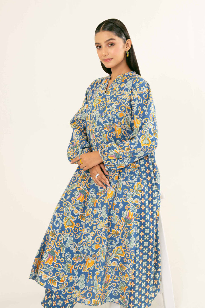 Printed Blue Karandi Suit