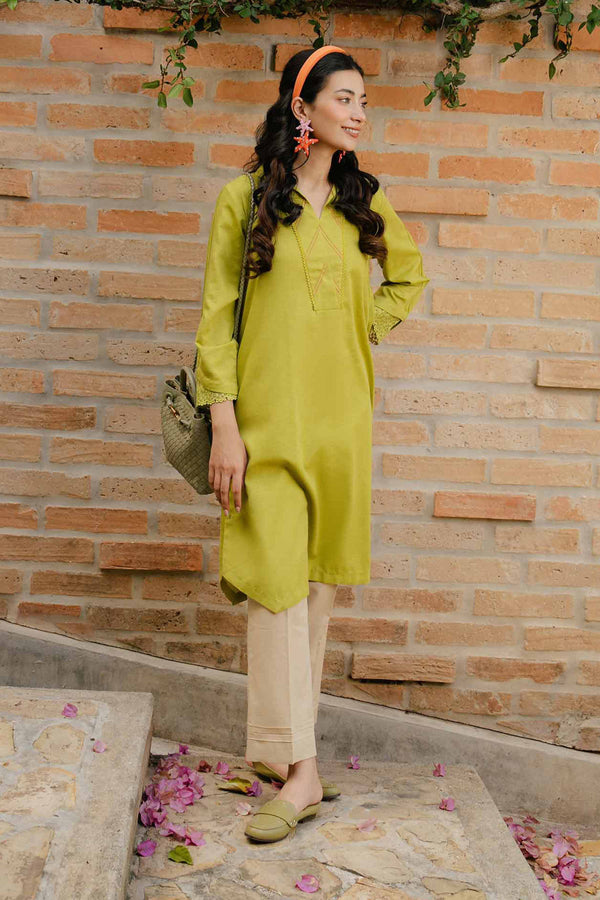 Light Green Karandi Basic Winter Shirt