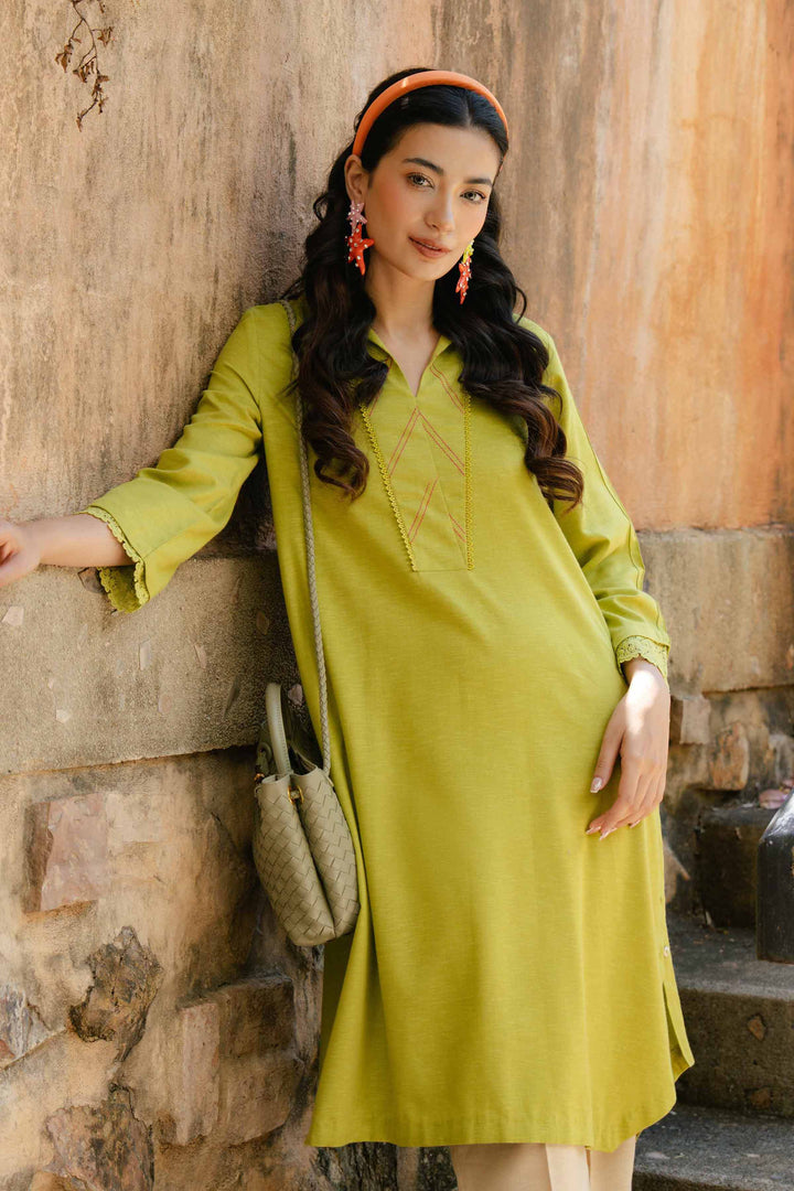 Light Green Karandi Basic Winter Shirt