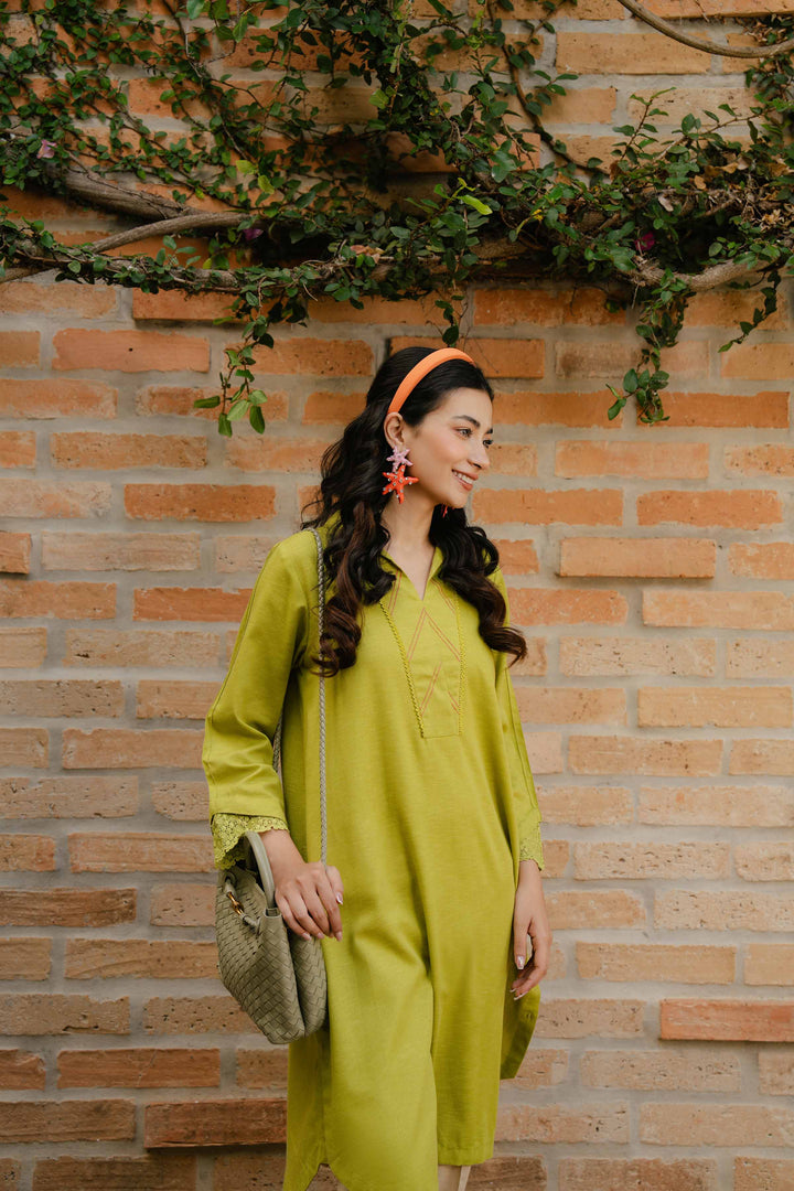 Light Green Karandi Basic Winter Shirt