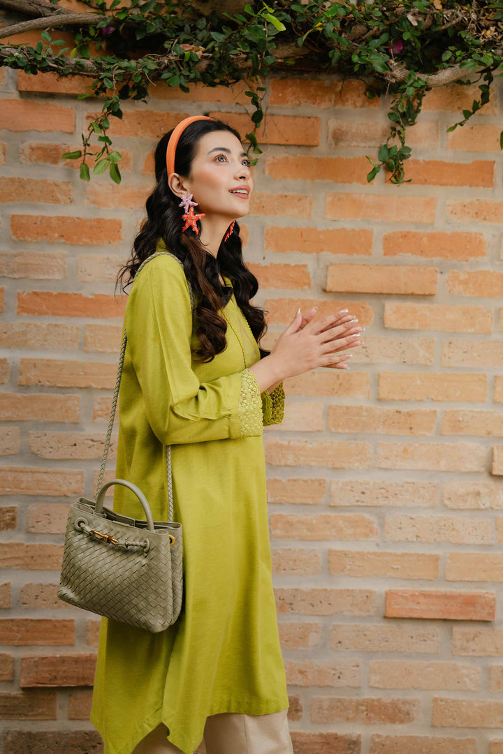 Light Green Karandi Basic Winter Shirt